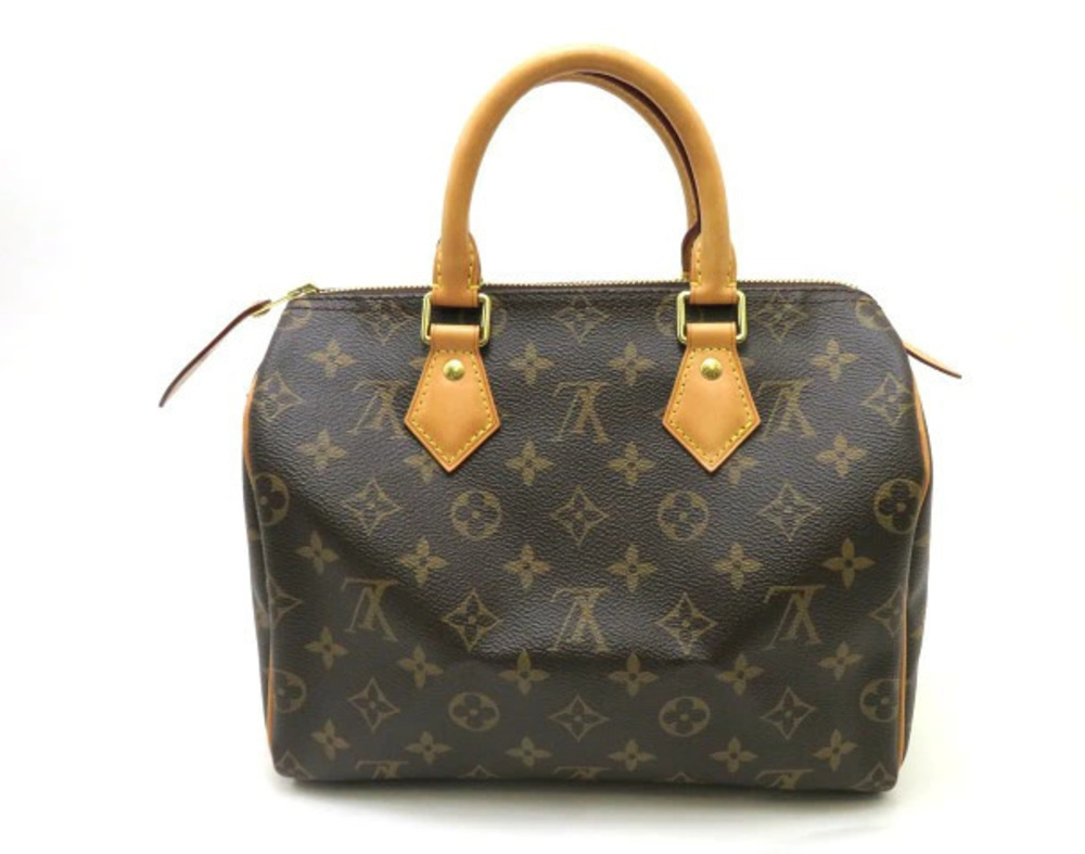 LOUIS VUITTON Speedy Monogram Handbag